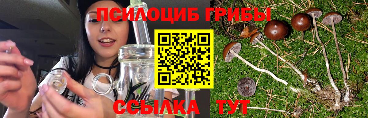 Галлюциногенные грибы мицелий Топки