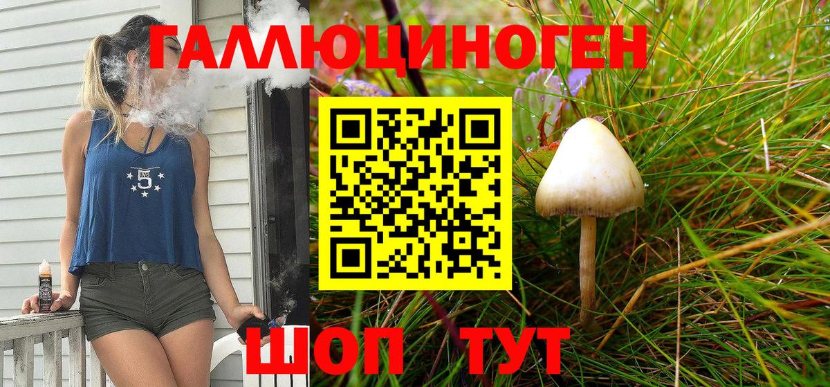 Псилоцибиновые грибы Magic Shrooms  закладка  Топки  Вход с VPN  Галлюциногенные грибы Psilocybe 